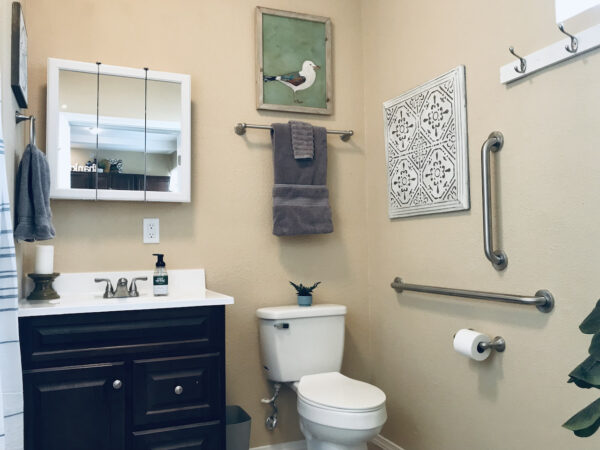 Alamo Studio Dwelling H bathroom with toilet sink and seagull print