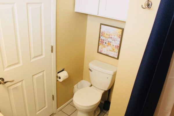 vintage dwelling Bathroom with toilet and mounted art print